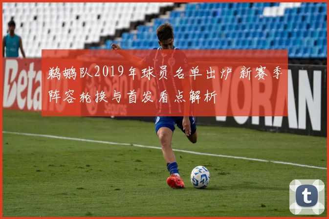 鹈鹕队2019年球员名单出炉 新赛季阵容轮换与首发看点解析