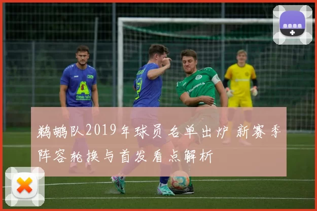 鹈鹕队2019年球员名单出炉 新赛季阵容轮换与首发看点解析